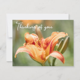 Cartão Postal Orange Lily Pensando Em Você