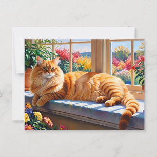 Cartão Postal Orange Maine Coon Cat