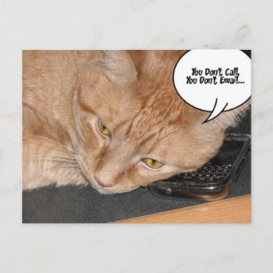 Cartão Postal Orange Tabby Cat Humor