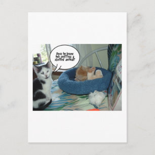 Cartão Postal Orange Tabby Kitty Cat