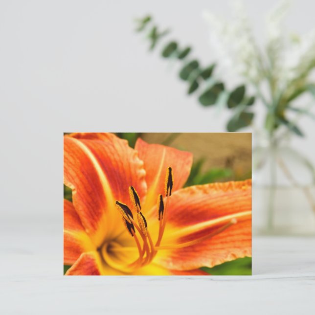 Cartão Postal Orange Tiger Lily (Em pé/Frente)