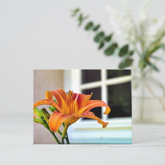 Cartão Postal Orange Tiger Lily (Em pé/Frente)