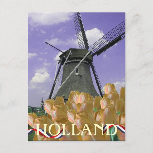 Cartão postal Orange Tulips Windmill Art Holland (Frente)