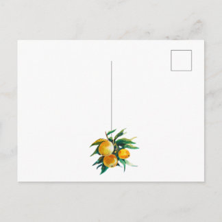 Cartão Postal Oranges and flowers postcard