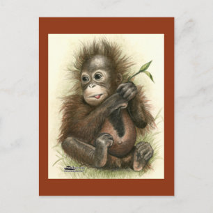 Cartão Postal Orangutan Baby Com Folhas