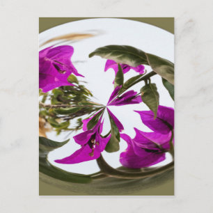 Cartão Postal Orb Flor Roxo e Branco