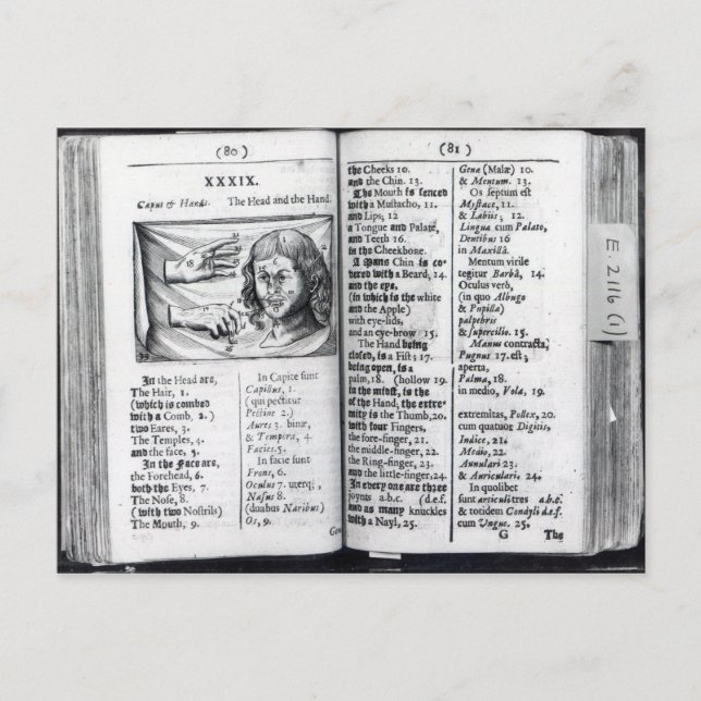 Cartão Postal "Orbis Sensualium Pictus" (Frente)