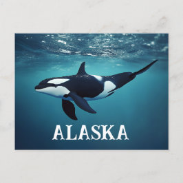 Cartão Postal Orca Alaska