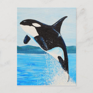 Cartão Postal Orca Painting