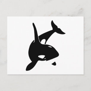 Cartão Postal orca wal dolphin delphin schwertwale baleia