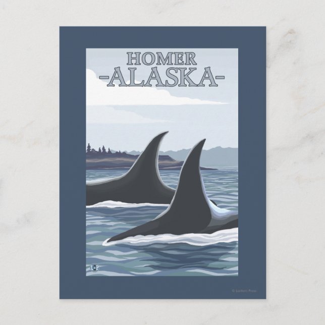 Cartão Postal Orca Whales #1 - Homer, Alaska (Frente)