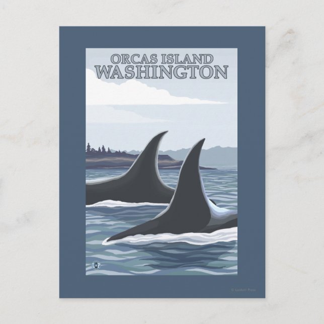 Cartão Postal Orca Whales #1 - Orcas Island, Washington (Frente)