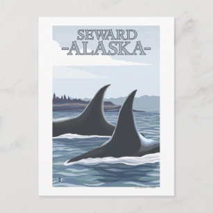 Cartão Postal Orca Whales #1 - Seward, Alasca