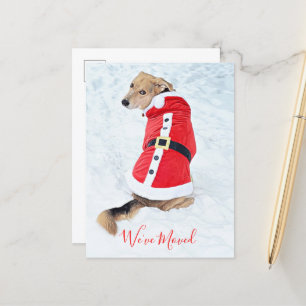 Cartão Postal Orçamento Movendo Cachorro De Natal Em Papais noei