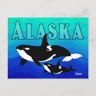 Cartão Postal Orcas, Alasca - Cartão-postal
