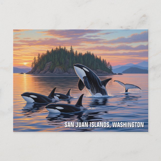 Cartão Postal Orcas em Washington san juan Islands viagem (Frente)