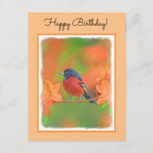 Cartão Postal Orchard Oriole Songbird Pintura Original