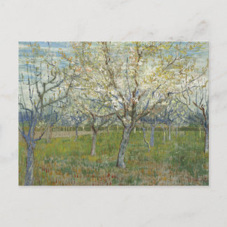 Cartão Postal Orchard with Blossoming Apricot Trees - Van Gogh 