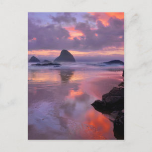 Cartão Postal Oregon beach and sea stacks, sunset