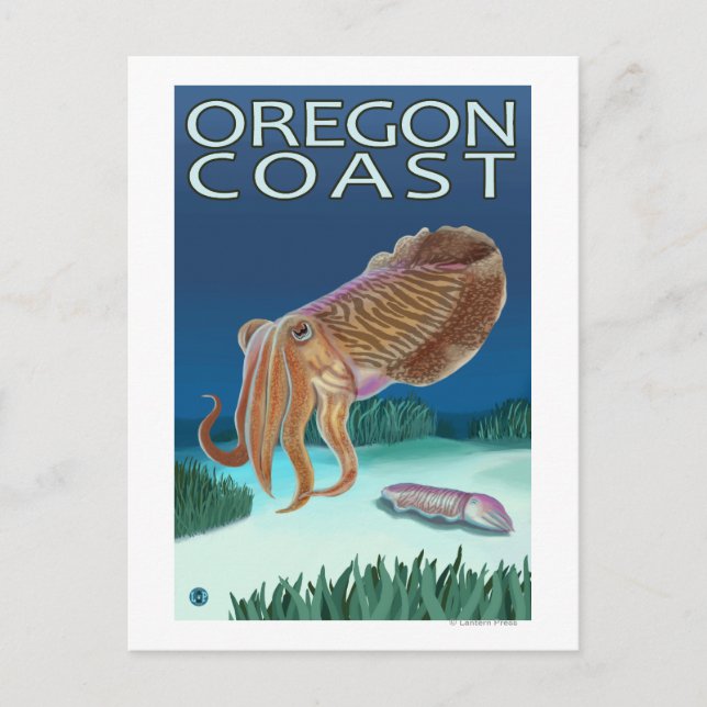 Cartão Postal Oregon Coast Cuttlefish (Frente)