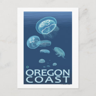 Cartão Postal Oregon Coast Jellyfish