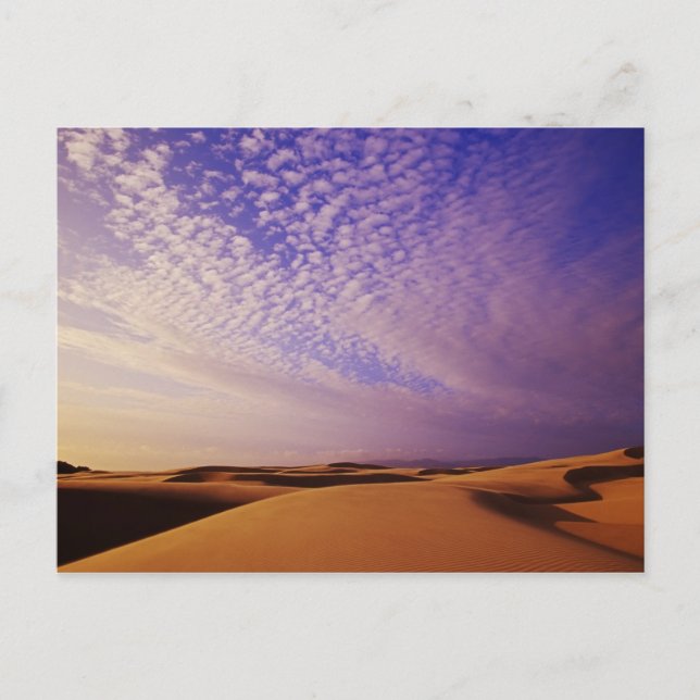 Cartão Postal Oregon Dunes National Recreation Area, Oregon (Frente)