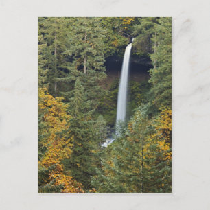Cartão Postal Oregon, Parque Estadual Silver Falls, North Falls