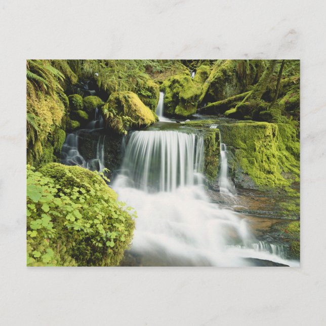 Cartão Postal Oregon, Waterfall no Willamette (Frente)