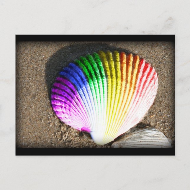 Cartão Postal orgulho de concha (Frente)