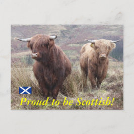Cartão Postal Orgulho de ser escocês!