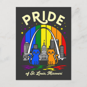 Cartão Postal Orgulho de St. Louis City Missouri Cats Arco-íris