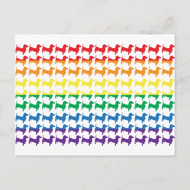 Cartão Postal Orgulho gay Rainbow Dachshances (Frente)