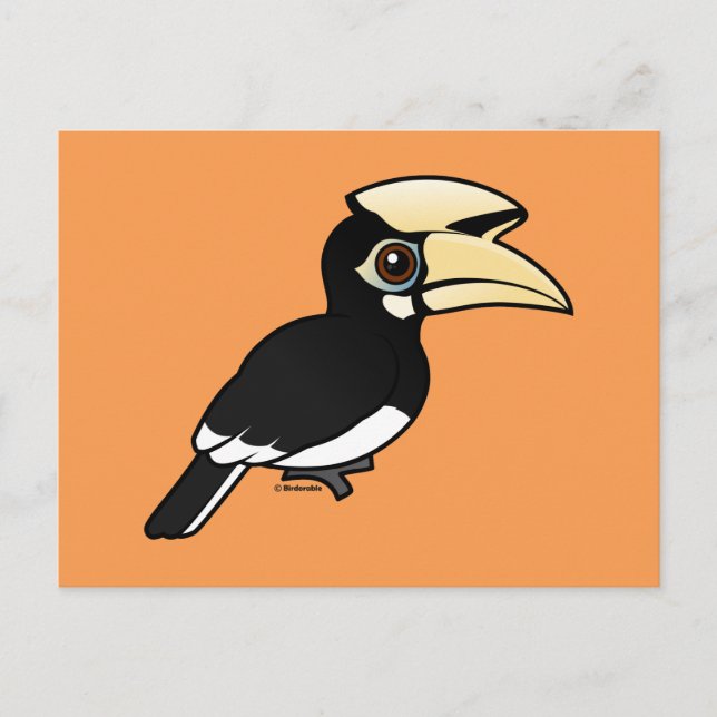 Cartão Postal Oriental Pied Hornbill (Frente)