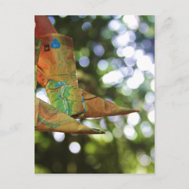 Cartão Postal Origami (Frente)