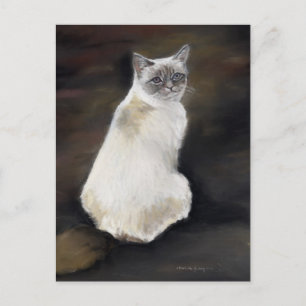 Cartão postal original de arte Ragdoll Cat