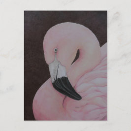 Cartão postal original de pássaro Flamingo