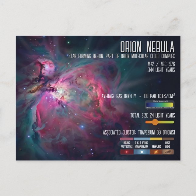 Cartão Postal Orion Nebula Space Infographic Star Formation (Frente)