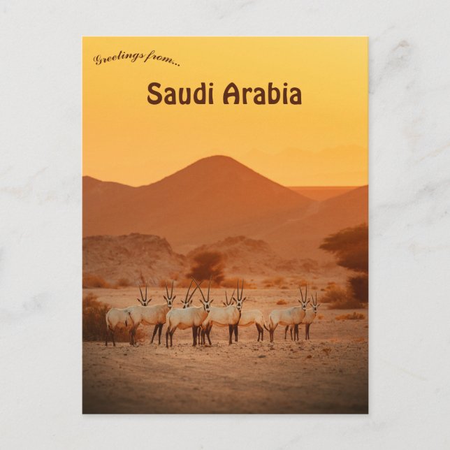 Cartão Postal Órix Árabe Neom Arábia Saudita (Frente)
