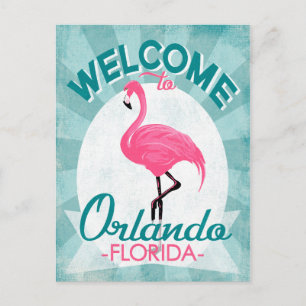 Cartão Postal Orlando Flórida Flamingo Rosa - Viagem Retro Antig