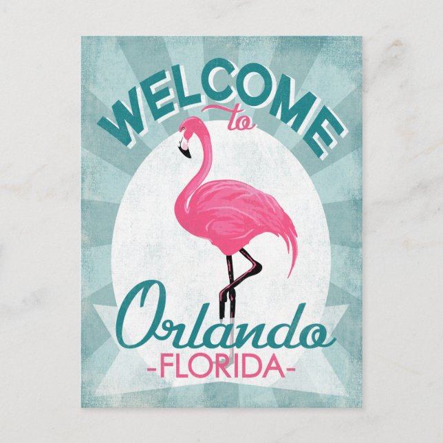Cartão Postal Orlando Flórida Flamingo Rosa - Viagem Retro Antig (Frente)