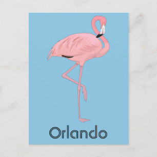 Cartão Postal Orlando Florida Pink Flamingo