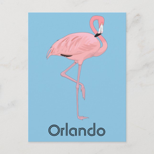 Cartão Postal Orlando Florida Pink Flamingo (Frente)