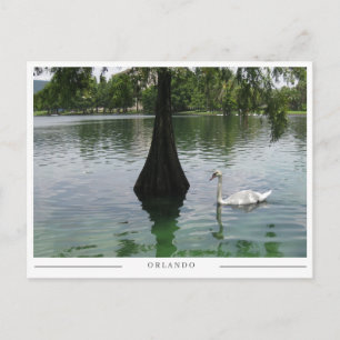 Cartão Postal Orlando Swan - Lago Park na Flórida