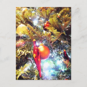 Cartão Postal Ornamentos Iluminantes
