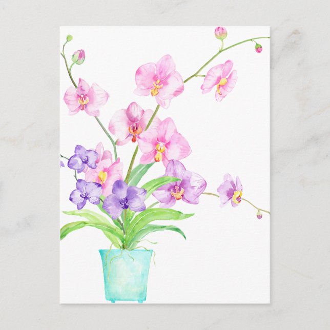 Cartão Postal Orquídea Aquarela em Pote (Frente)