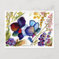 Orquídea Azul Incrível e Folhas