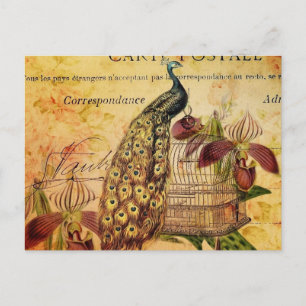 Cartão Postal orquídea botânica tropical, pavão-de-safra moderno