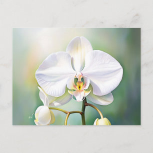 Cartão Postal Orquídea Branca de Aquarela com Petais Delicados