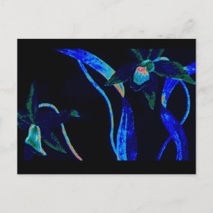 Cartão Postal Orquídea Noturna