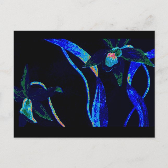 Cartão Postal Orquídea Noturna (Frente)